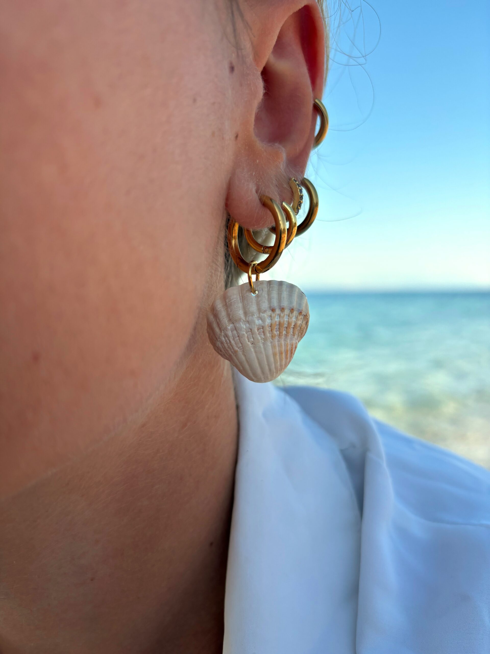 earrings with natural shell